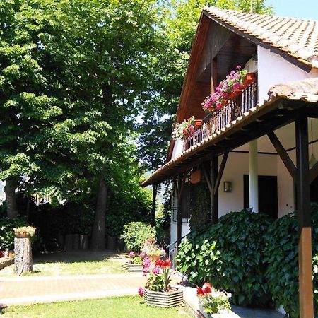 Villa Afroditi Nea Vrasna Bagian luar foto