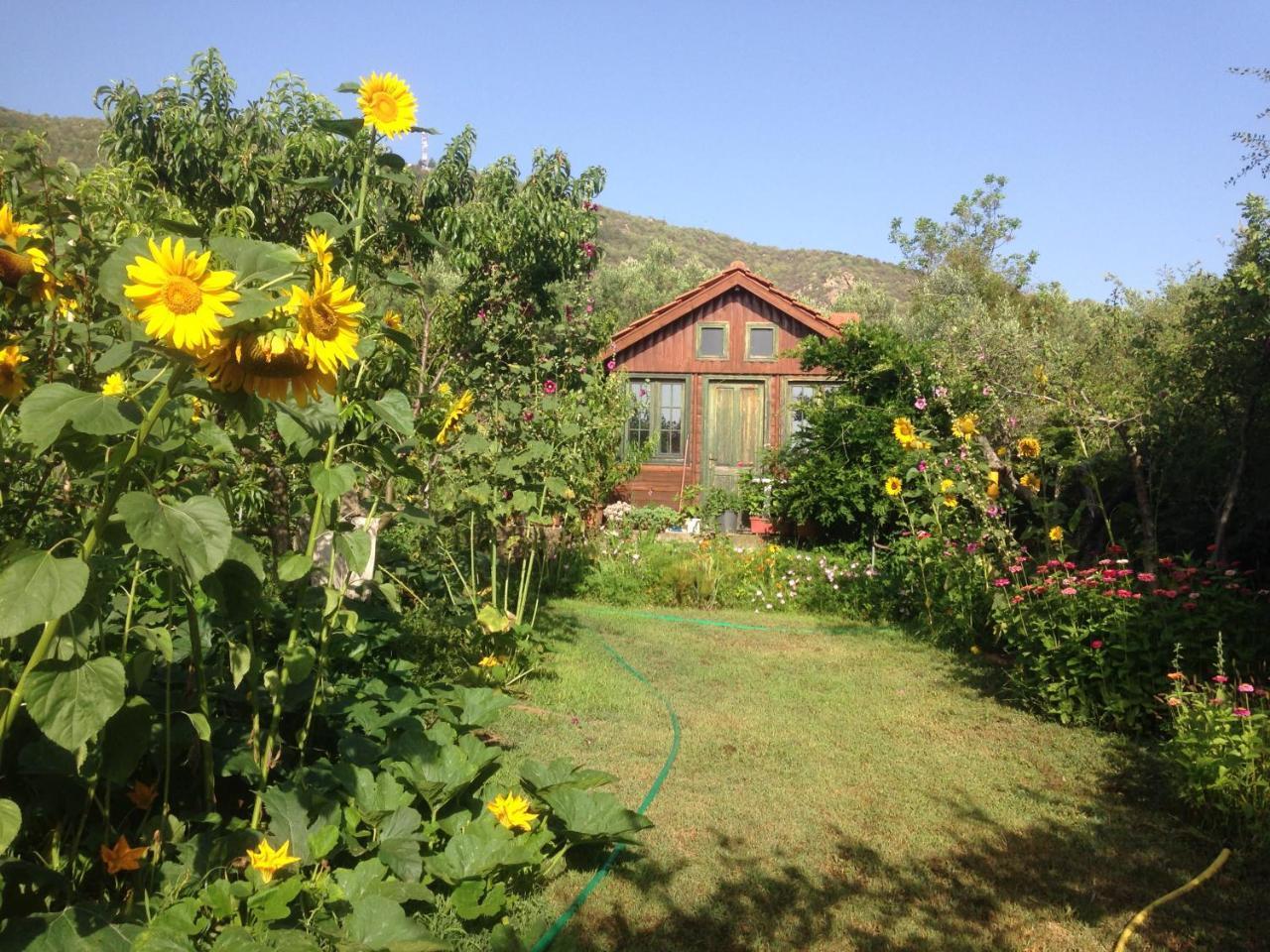 Villa Afroditi Nea Vrasna Bagian luar foto